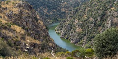 Bereketli bitki örtüsüyle çevrili kayalık arazide huzur dolu bir nehir kıvrılır..