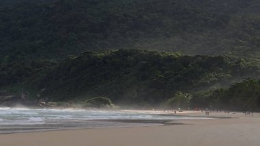 Yavaş çekim video Lopes Mendes plajını yakalar, yoğun ormanın kumla buluştuğu ve insanların huzurlu manzaradan hoşlandıkları yer..