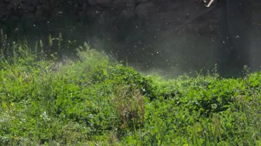 Bir işçi bir tarlada uzun yeşil çimenleri bir fırçayla buduyor, ışığın ve gölgenin çarpıcı zıtlıklarıyla ağır çekimde yakalanıyor..
