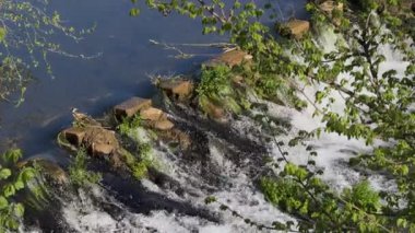 Ağır çekimde, kısmen ağaç dallarıyla gizlenmiş ve bereketli bir yaz ormanı manzarasına karışan nehirdeki eski taş basamakları gösteriyor..