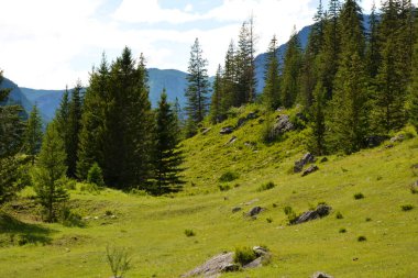 Yazın dağ manzarası