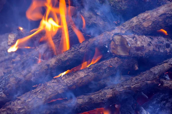 Ormanda yanan ateş.