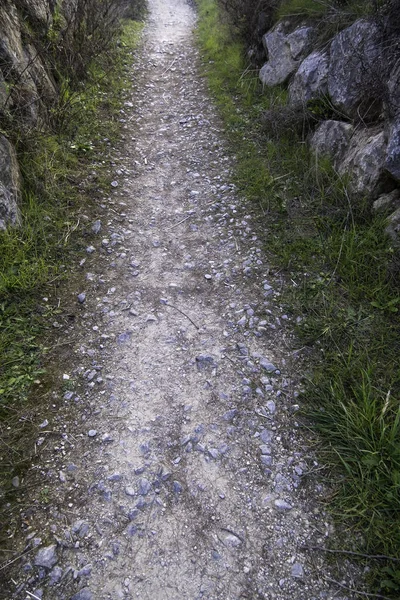自然の中で山の上の古い道の詳細 — ストック写真