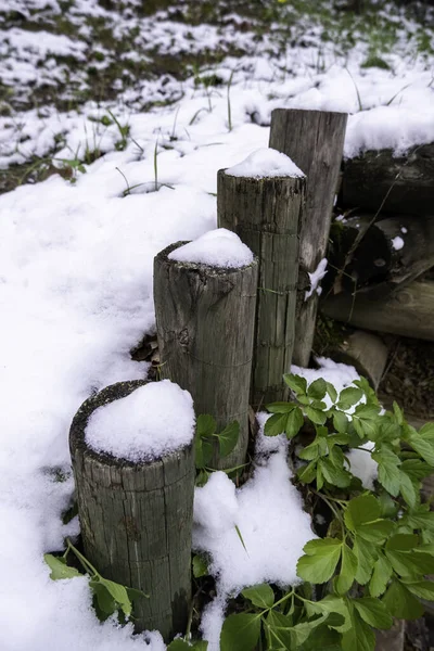 Detail Wood Cold Winter Day Ice Snow — Foto de Stock