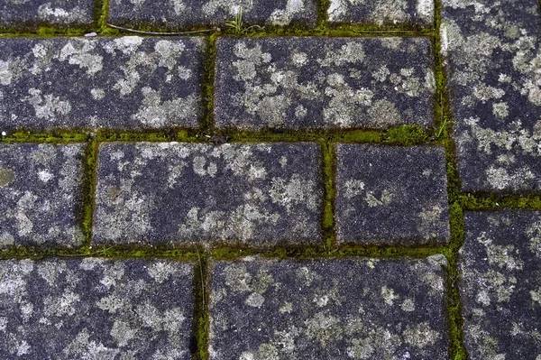 Λεπτομέρεια Δαπέδου Από Παλιές Πλακόστρωτες Πέτρες Πεζόδρομο — Φωτογραφία Αρχείου