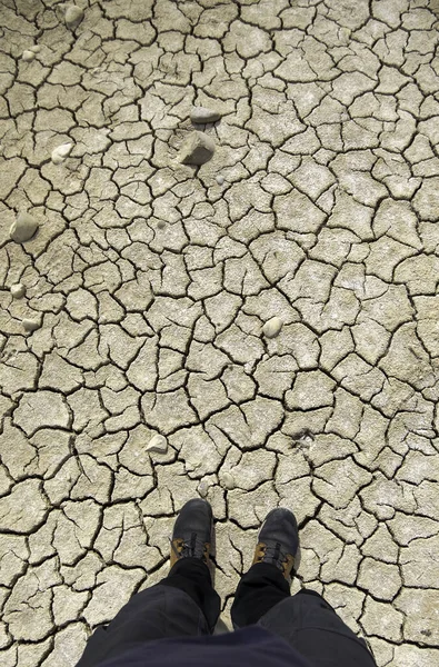 Detail Dry Land Climate Change Environmental Destruction — Stock Photo, Image