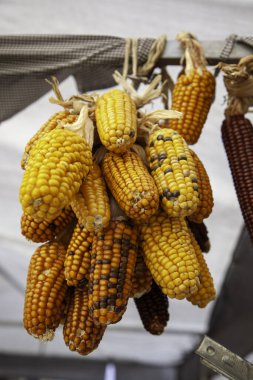 Açık havada mısır gevreği kurutma, sağlıklı yemek, vejetaryen...