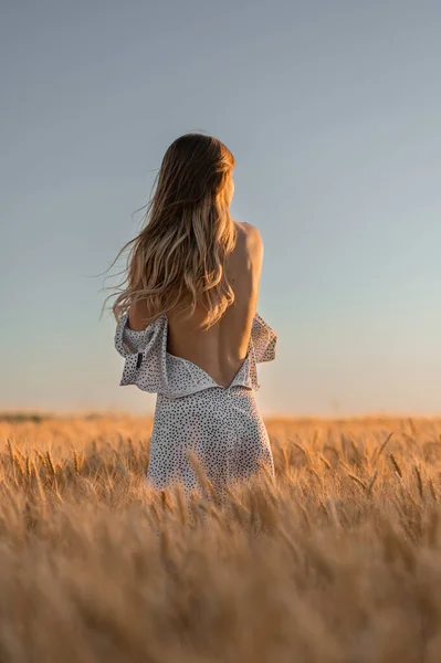 Pretty Ukrainian Girl White Cloth Field Wheat — Stock Photo, Image