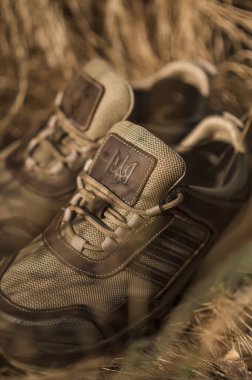 Ordu ayakkabıları kuru çimlerde. Askeri ayakkabılar. Dağ arazisi için spor ayakkabıları