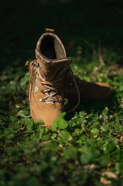 Çimlerin üzerinde haki taktiksel askeri spor ayakkabılar