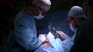 Yetenekli cerrahların kapanışı, modern bir hastanede hassas bir operasyona odaklandı.