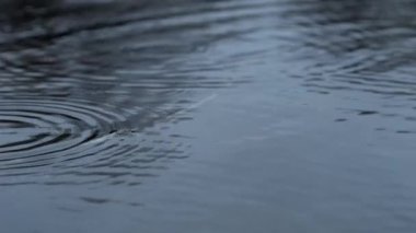 Yağmur damlaları durmaksızın düşer, sakin bir yüzeyde dalgalanmalar yaratır, derin bir huzur ve sakinlik hissi uyandırır.