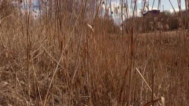 Mavi gökyüzünün altındaki uçsuz bucaksız kuru otlakların çarpıcı manzarası doğal huzurun özünü yakalar.