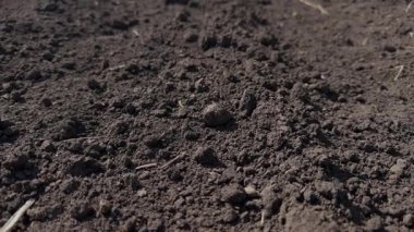 Bu resim, çeşitli tarım ve bahçe işleri için ideal zengin ve koyu toprak dokusunun yakın çekimini gösteriyor.