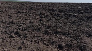 Bu, tarım ve çeşitli ekinler için mükemmel olan zengin ve karanlık toprağın detaylı bir perspektifi.