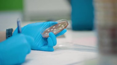 Bir laboratuar teknisyeni, bir petri kabını inceler ve modern laboratuvar uygulamalarını iş başında gösteren notlar alır.