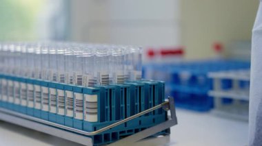 Önemli bilimsel analizler ve deneyler için hazır, düzgün organize edilmiş test tüplerinin rafa kaldırılması