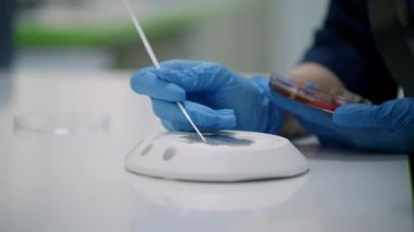 Bu yakın plan görüntü steril bir ortamda kesin numune kullanımını gösteren bir laboratuvar deneyini gösteriyor.