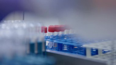 Detaylı araştırma ve analiz için laboratuvar ortamında canlı kırmızı kapaklı test tüpleri koleksiyonu.