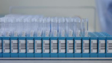 Laboratuvar rafındaki test tüplerinin yakın plan görüntüsü, bilimsel deneyler için hassasiyet ve hazırlık gösteriyor.