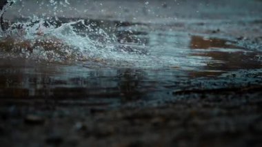 Su birikintilerindeki sıçramaların yakın çekimleri büyüleyici yağmurlu atmosferi ve çamurlu çevreyi canlı bir şekilde gösteriyor.