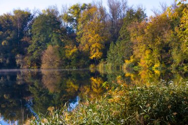 Autumn Rechka Psel harika bir ekran koruyucu olacak.