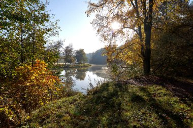 Autumn Rechka Psel harika bir ekran koruyucu olacak.
