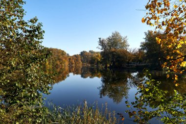 Autumn Rechka Psel harika bir ekran koruyucu olacak.