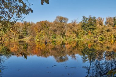 Autumn Rechka Psel harika bir ekran koruyucu olacak.