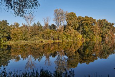 Autumn Rechka Psel harika bir ekran koruyucu olacak.