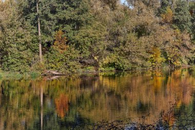 Autumn Rechka Psel harika bir ekran koruyucu olacak.
