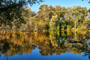 Autumn Rechka Psel harika bir ekran koruyucu olacak.