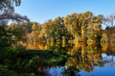 Autumn Rechka Psel harika bir ekran koruyucu olacak.