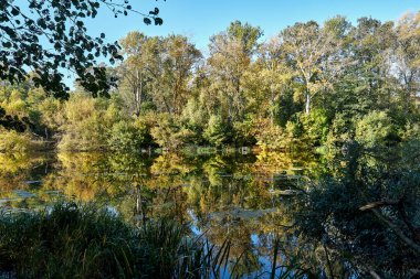 Autumn Rechka Psel harika bir ekran koruyucu olacak.