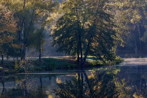 Autumn Rechka Psel harika bir ekran koruyucu olacak.