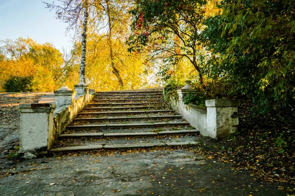 Лестница Осенью Покрытая Желтыми Опавшими Листьями Блестящий Фон — стоковое фото