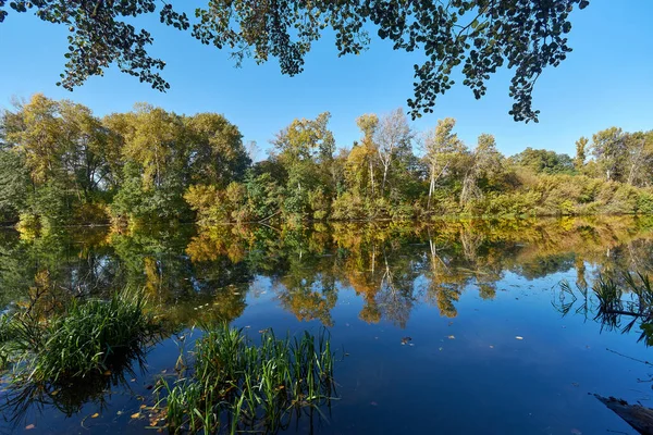 Autumn Rechka Psel harika bir ekran koruyucu olacak.