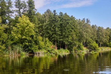 Sonbaharda Psel Nehri.