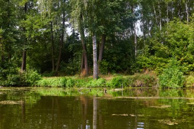 Sonbaharda Psel Nehri.