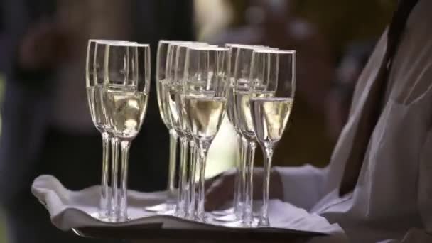 Стаканы Шампанского Подносе Высококачественные Кадры — стоковое видео