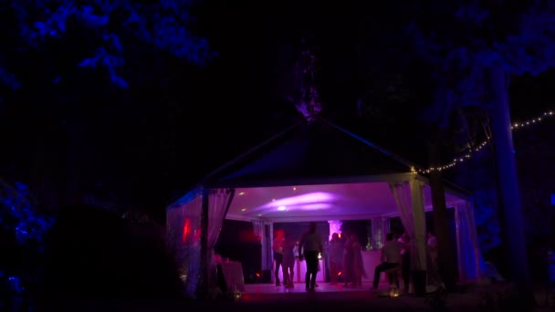 Tanzende Menschen Auf Der Terrasse Violettem Licht Hochwertiges Fullhd Filmmaterial — Stockvideo