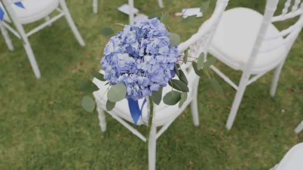 Λευκές Καρέκλες Γάμου Μπλε Παιώνιες Υψηλής Ποιότητας Πλάνα — Αρχείο Βίντεο