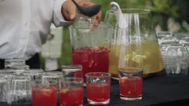 Waiter Pouring Punch Glasses High Quality — Wideo stockowe