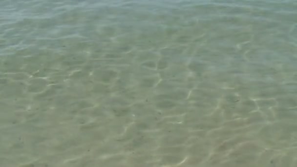 きれいな海の水が波の底に砂を見ることができます 海の近くだ — ストック動画
