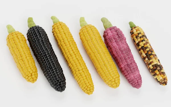 Realisztikus Render Corns Collection — Stock Fotó
