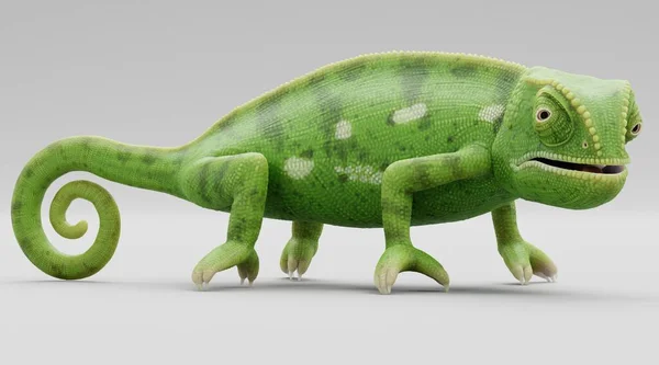 Realistyczne Render Klapą Kameleon Szyi — Zdjęcie stockowe