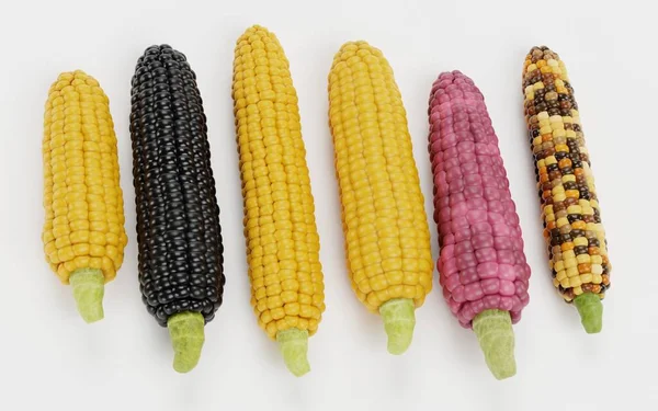 Realista Render Corns Collection —  Fotos de Stock