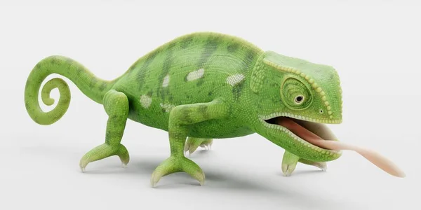 Realistisk Render Flap Necked Chameleon — Stockfoto
