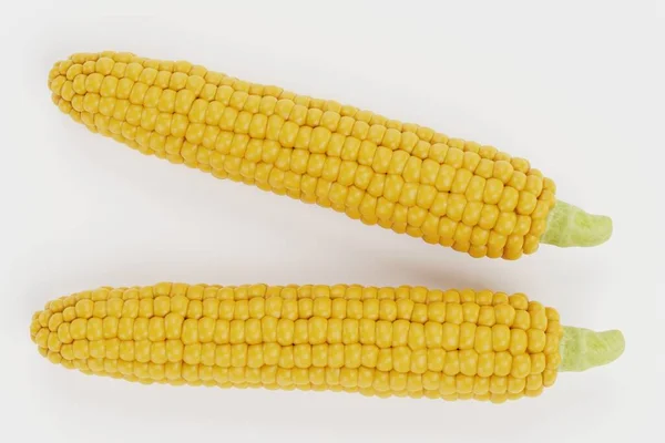 Реалистичный Рендер Кукурузы — стоковое фото