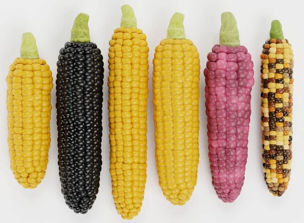 Ρεαλιστική Render Corns Collection — Φωτογραφία Αρχείου